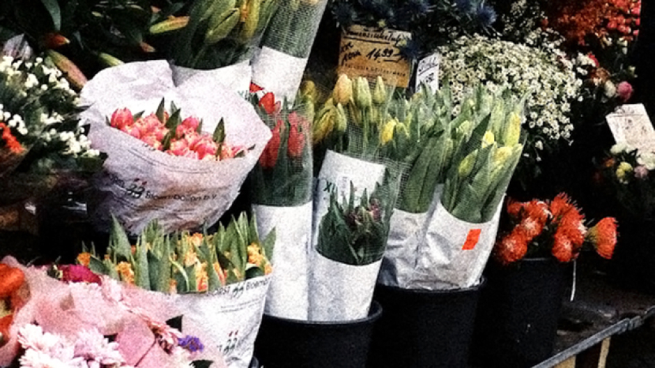 Galliate, aperte le iscrizioni per la 