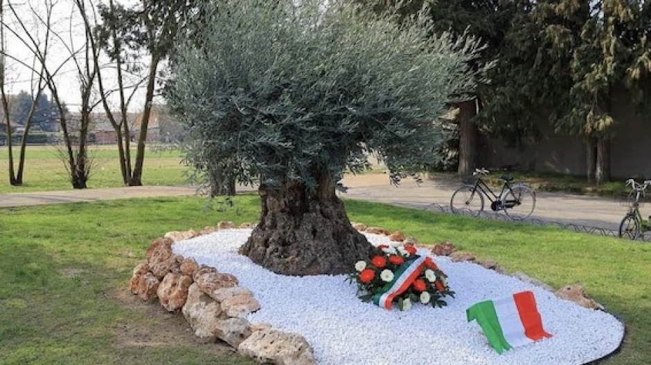 Cameri, il 18 marzo commemorazione per giornata in memoria vittime del Coronavirus