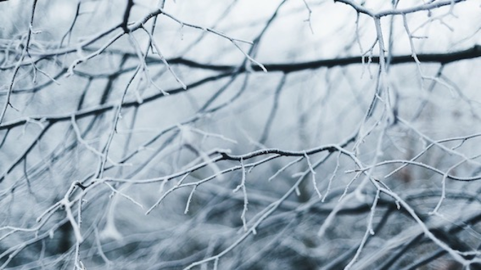 Ondata di gelo, a Varallo Pombia registrati -9,7 gradi