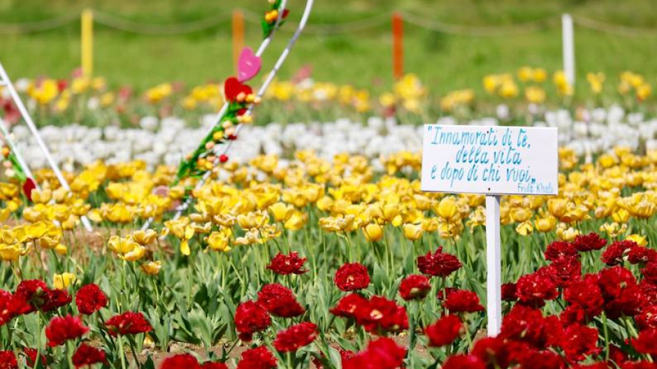 Cameri: a breve l'apertura di 