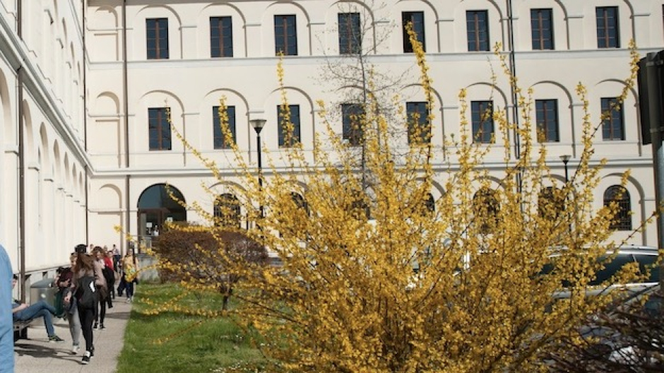 Università del Piemonte Orientale: torna 