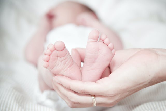 Ospedale di Borgomanero, il 17 novembre la Giornata Mondiale della Prematurità