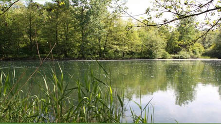 Oleggio, riapre l'area naturalistica Le Ginestre