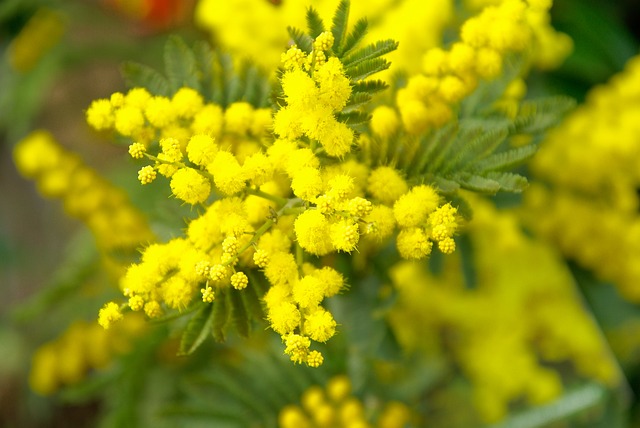 Giornata Internazionale della donna: la Provincia promuove diversi eventi