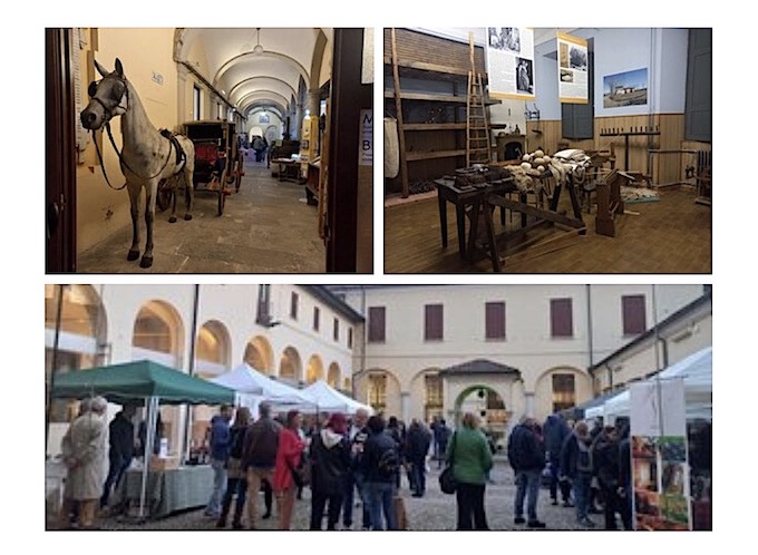 Oleggio, successo per l'iniziativa “Calici al museo”