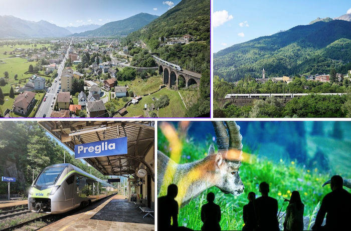Mit dem grünen BLS-Zug zum World Nature Forum: eine Reise durch die Alpen