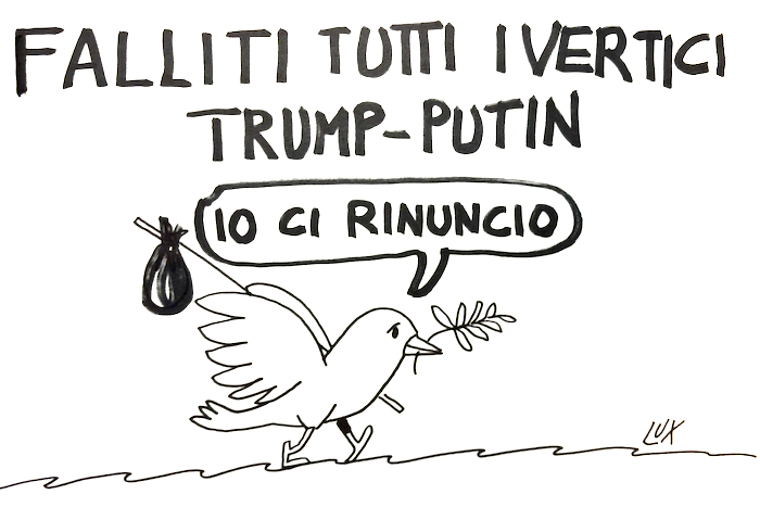 La vignetta dell'architetto Lux 